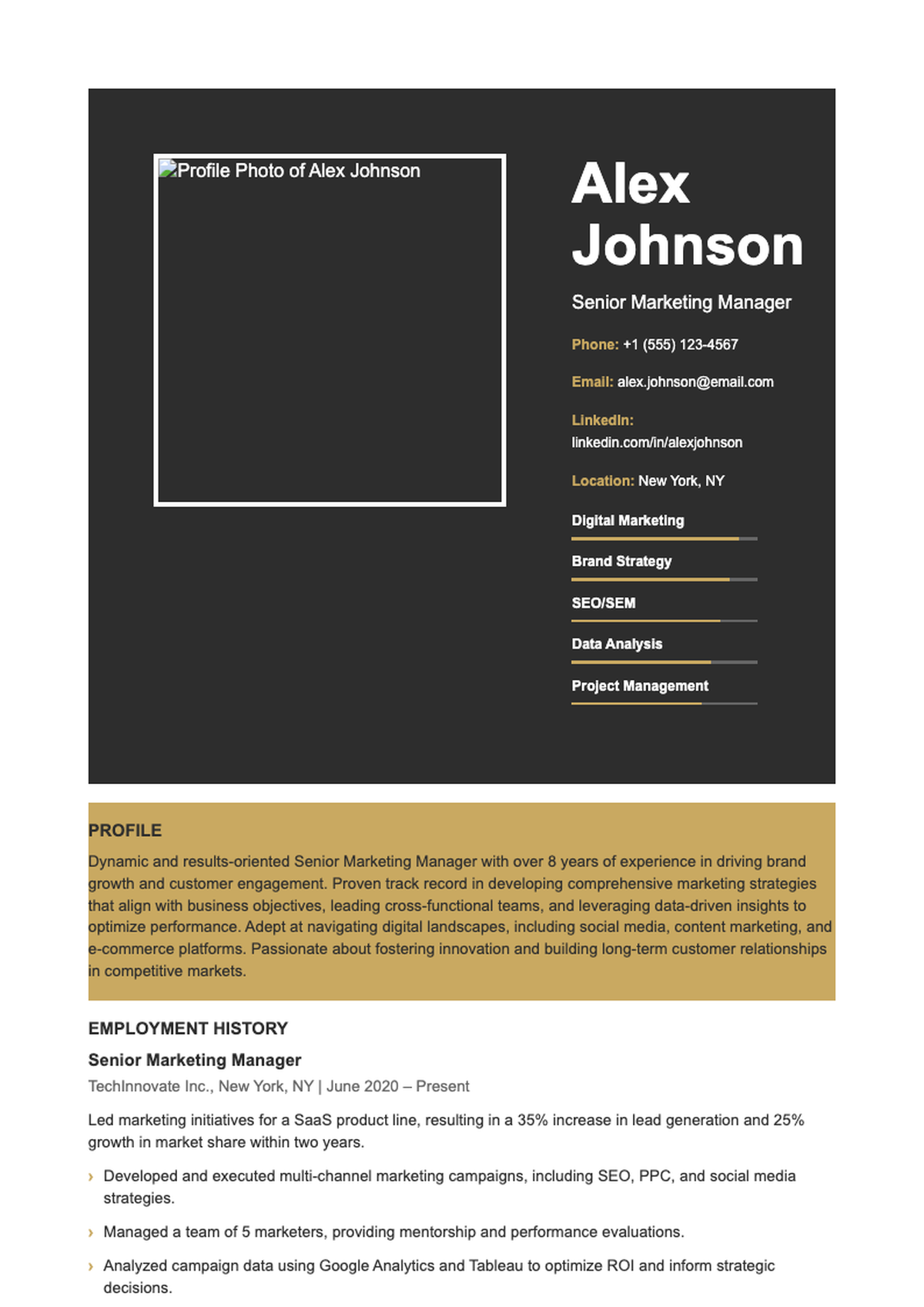 Professional two column resume template with skills bars and profile section_variant_1